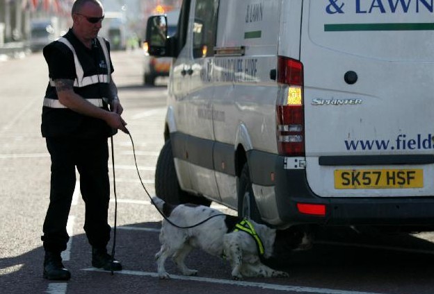 倫敦馬拉松賽采用警犬與安檢門等設(shè)備共同防御不法活動(dòng)[圖]