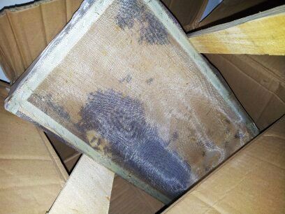 南京機(jī)場安檢機(jī)檢測查堵千余只小蜜蜂