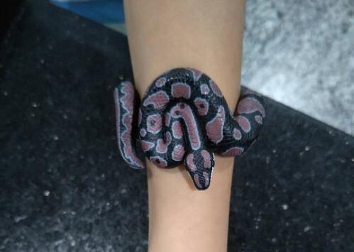 金屬探測門廠家：白云機場安檢驚現(xiàn)“小蛇”！